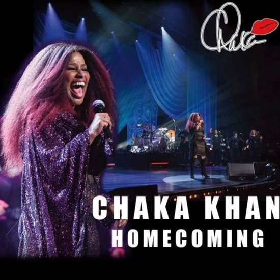 Chaka Khan - Love You All My Lifetime (Official Music Video