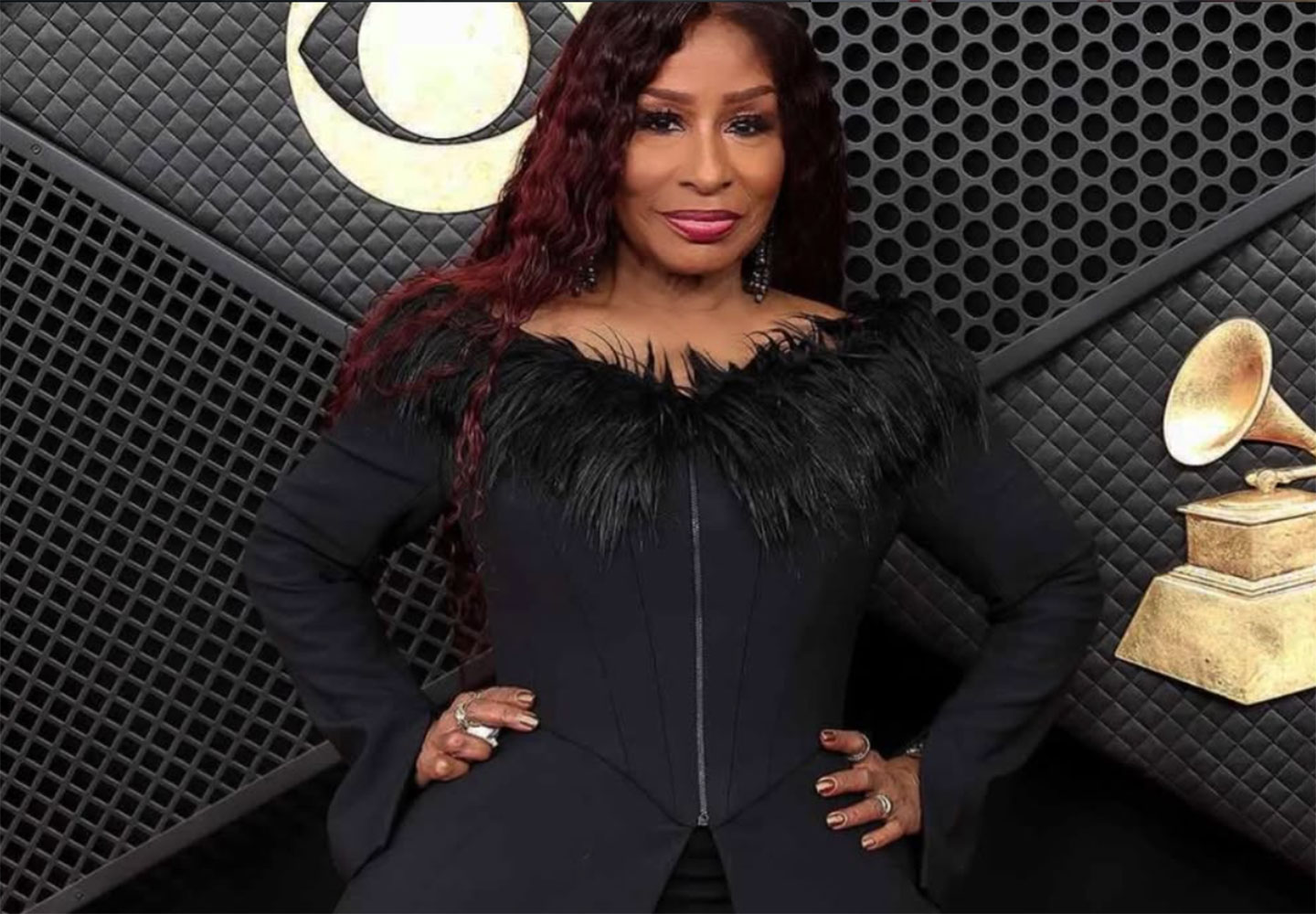 Chaka Slays the GRAMMYs Red Carpet